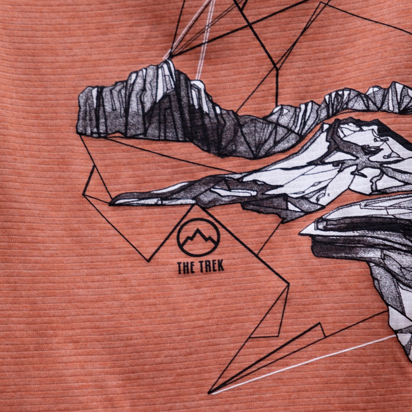 Women's Triple Crown Tee: Patagonia x The Trek Edition