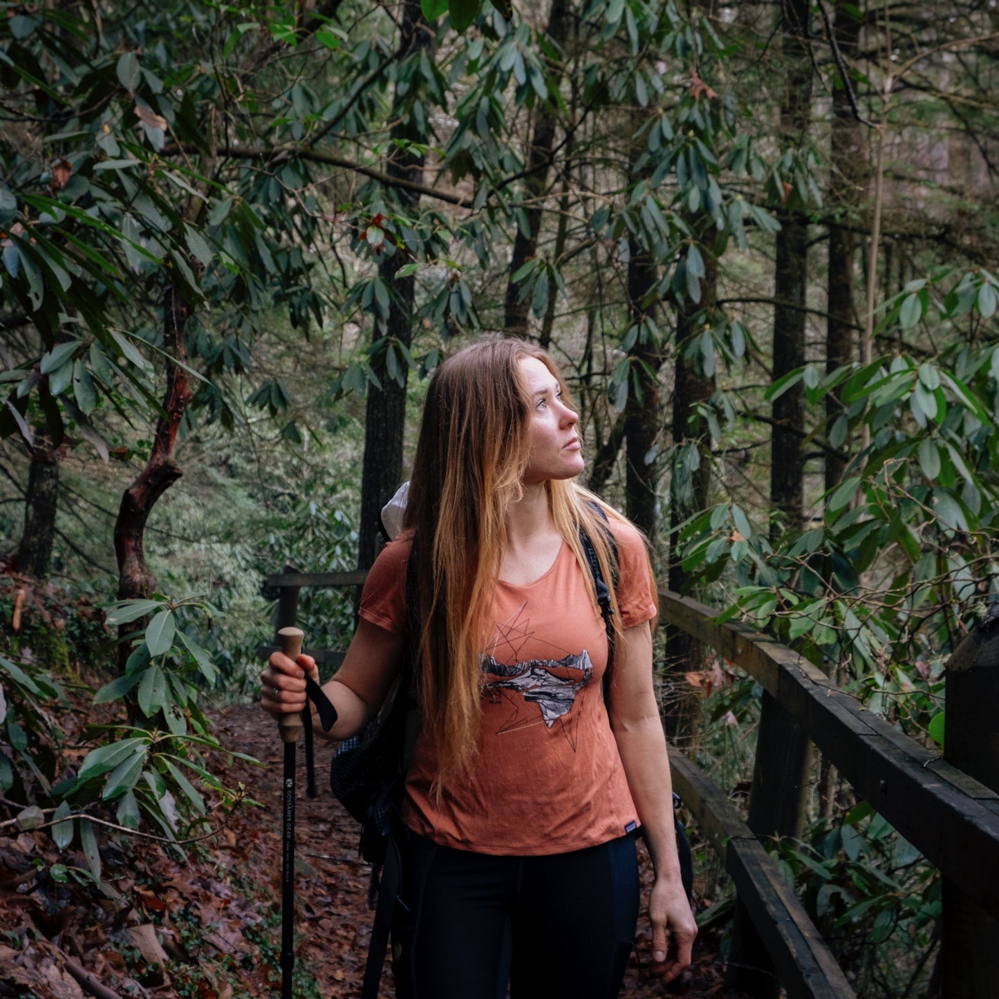 Women's Triple Crown Tee: Patagonia x The Trek Edition