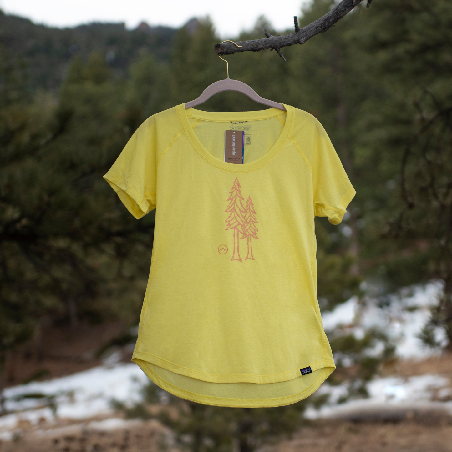 Women's Evergreen Patagonia Capilene Cool Trail Shirt